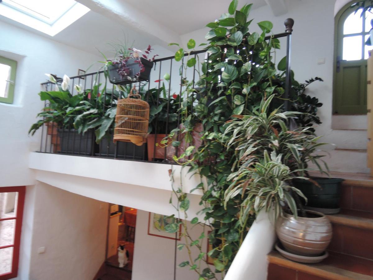 La Maison Bleue 萨路特德沃克吕兹 外观 照片