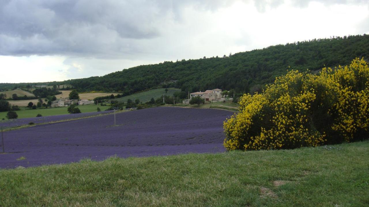 La Maison Bleue 萨路特德沃克吕兹 外观 照片