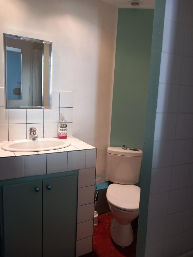 La Maison Bleue 萨路特德沃克吕兹 外观 照片